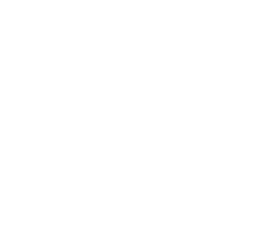 Patty Smash Burgers